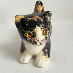 Winstanley Tortoiseshell Kitten - Size 1