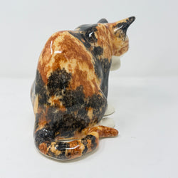 Winstanley Tortie Cat Licking Paw - Size 3