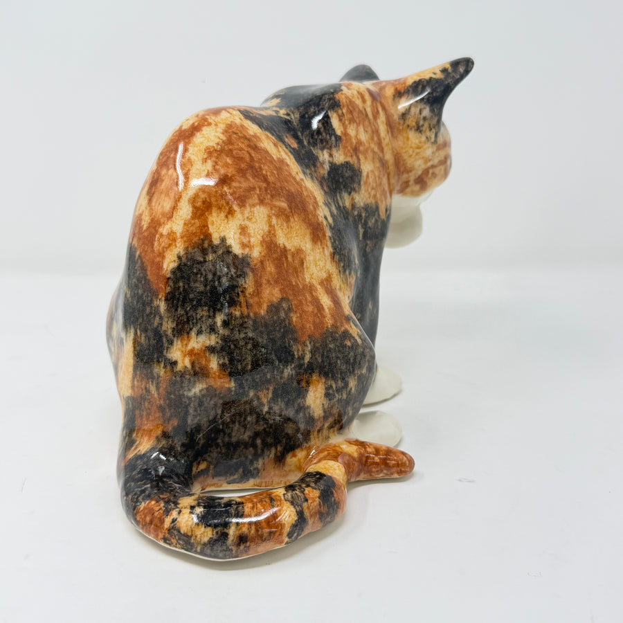 Winstanley Tortie Cat Licking Paw - Size 3