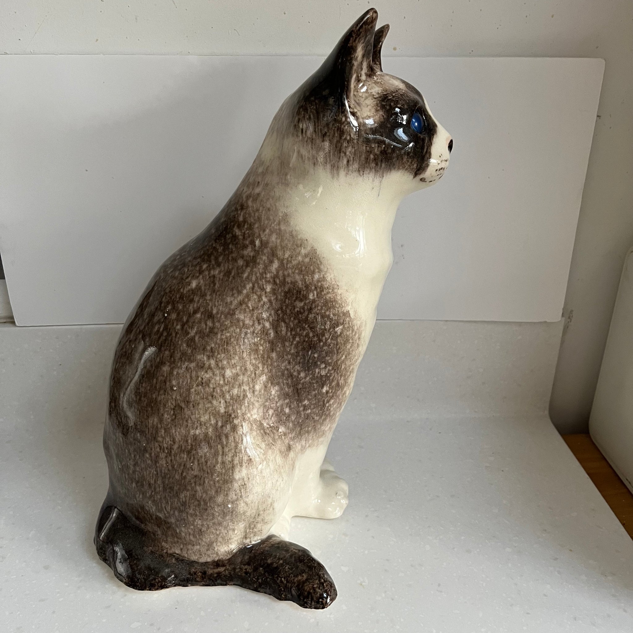 Winstanley Cat - Size 7