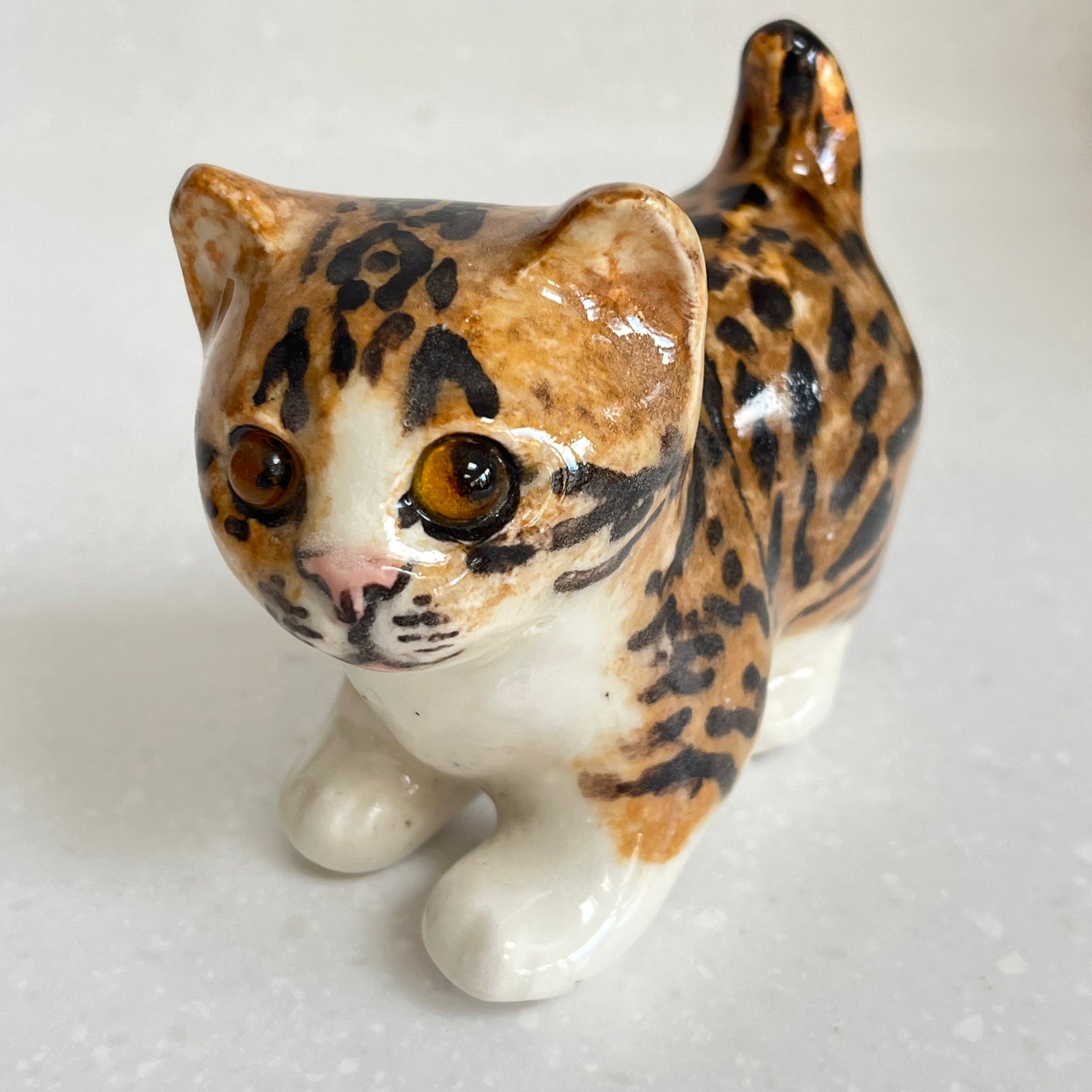 Winstanley Bengal Kitten - Size 1
