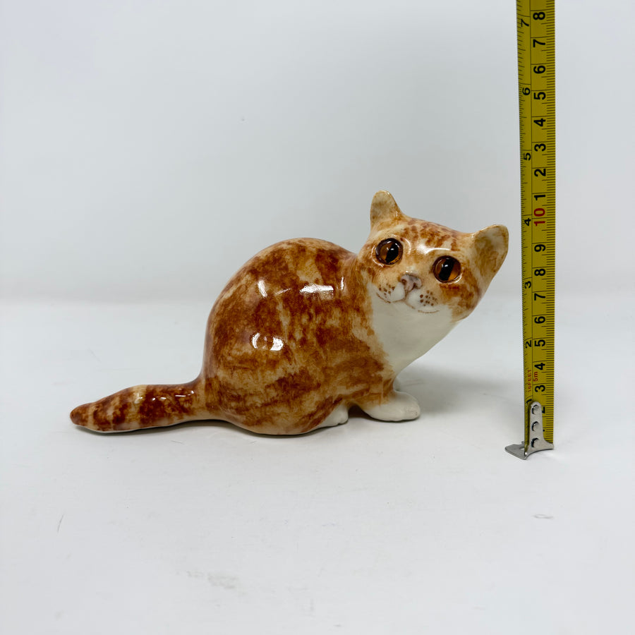 Winstanley Ginger & White Cat Size 2