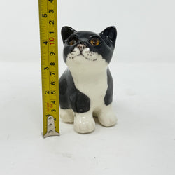 Winstanley Black & White Chubby, Wobbly Cat - Size 1