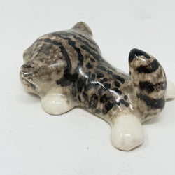 Winstanley Grey & White Flat Cat - Size 1