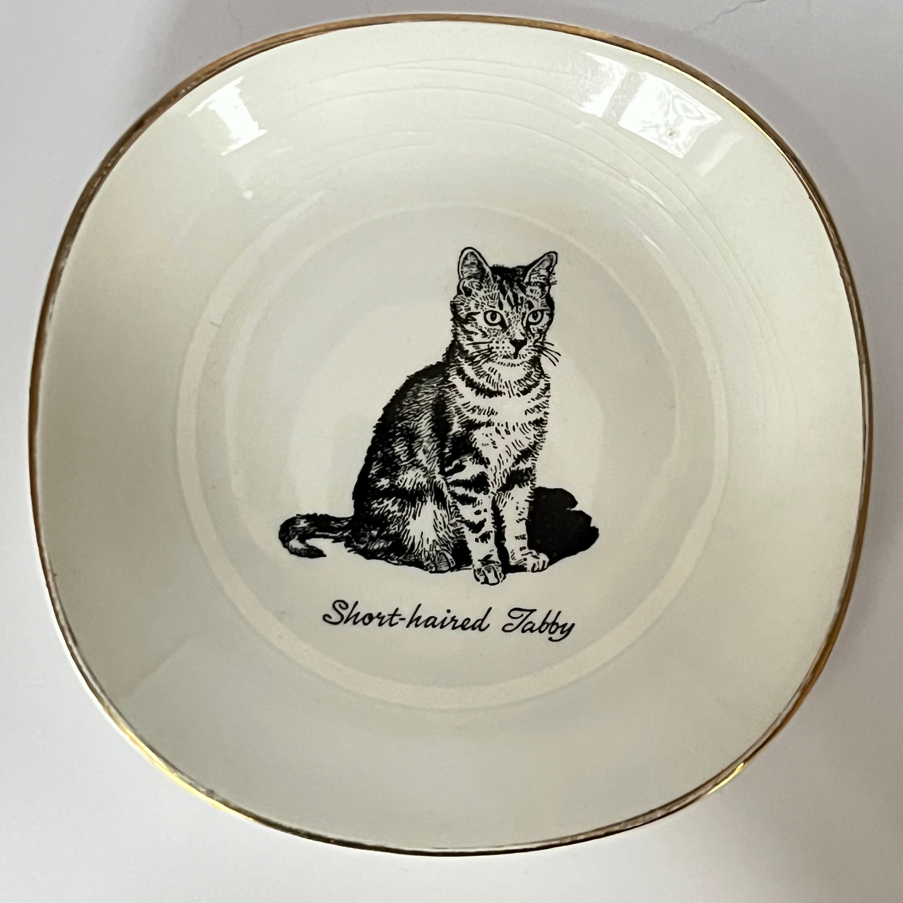 Vintage Short Haired Tabby Ceramic Trinket Dish