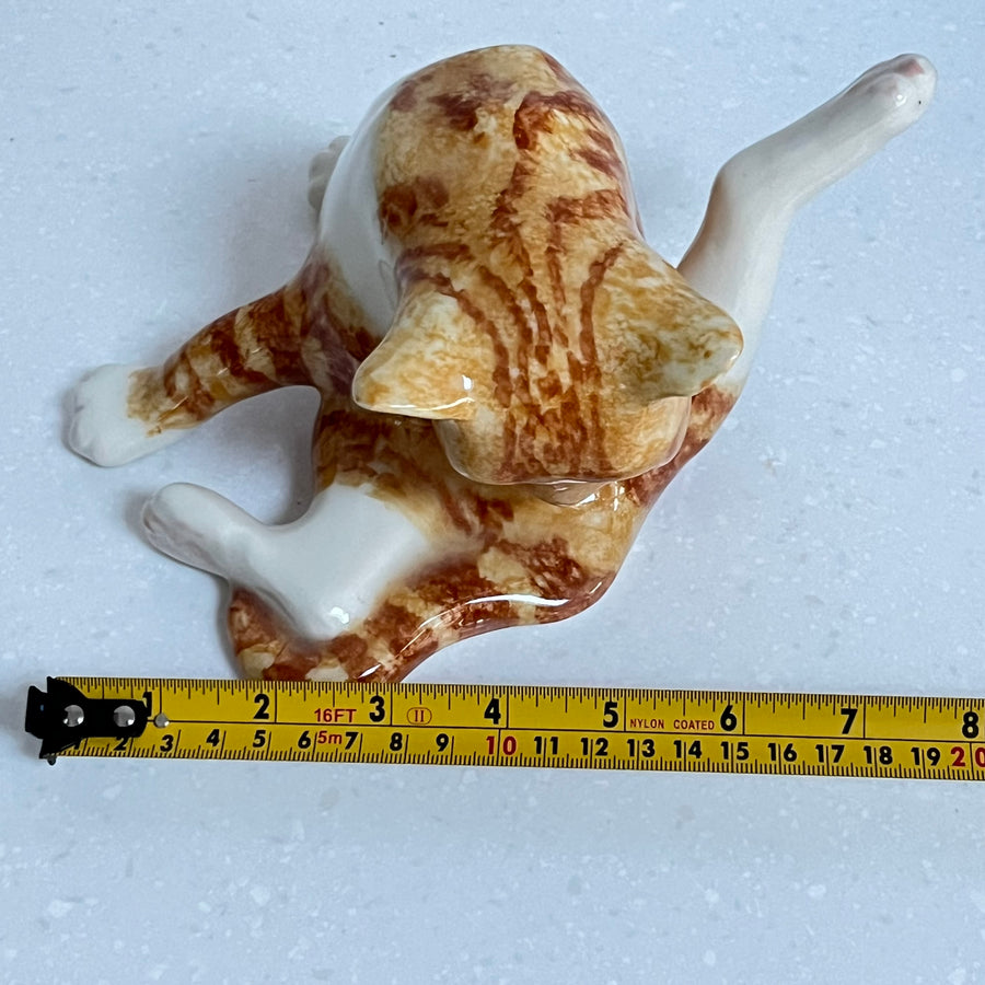 Winstanley Ginger Cat Washing  - Size 3