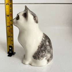 Winstanley Grey and White Kitten - Size 1