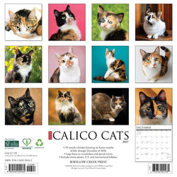 Calico Cats 2027 Wall Calendar
