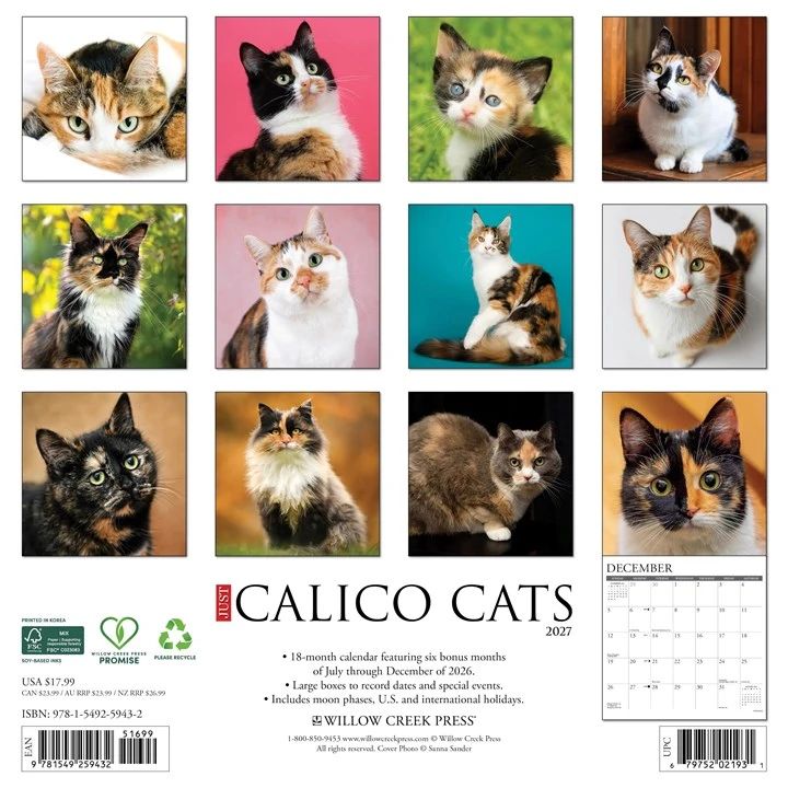 Calico Cats 2027 Wall Calendar