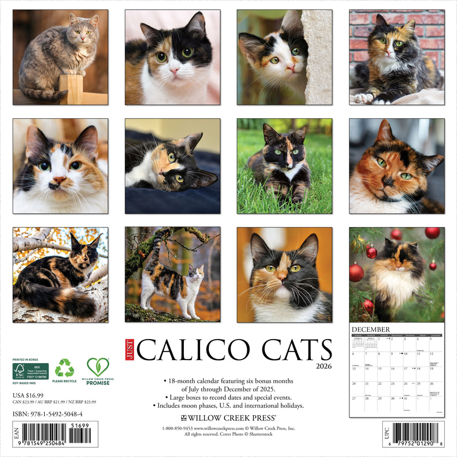 Calico Cats 2026 Wall Calendar