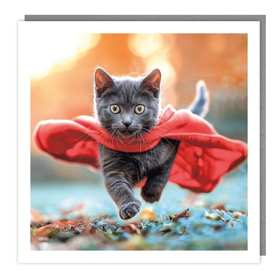 Cape Kitty Photographic Card