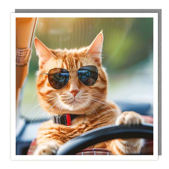Car Kitty Photographic Card