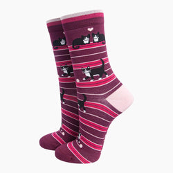 A pair of crew socks with a pattern of black and white cats on a dark purple background with pink and white horizontal stripes