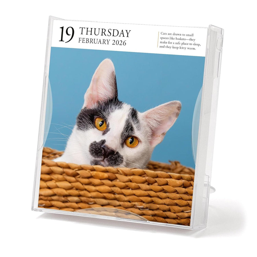 Page A Day Cat Gallery 2026 Desk Calendar