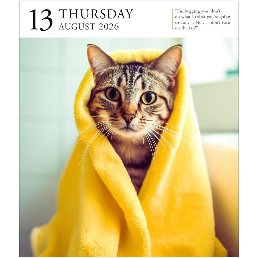 Page A Day Cat Gallery 2026 Desk Calendar