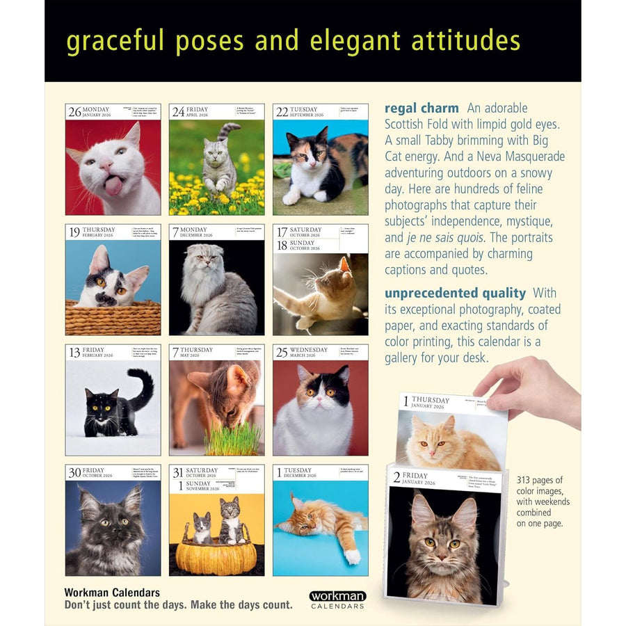 Page A Day Cat Gallery 2026 Desk Calendar