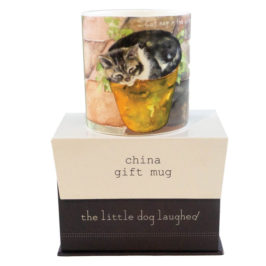 Cat Nap in the Catnip Mug