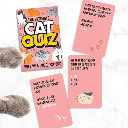 Cat Quiz Cards