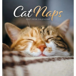 A 2027 desk calendar titled 'Cat Naps' featuring a close-up photo of a sleeping orange tabby cat on a blanket.
