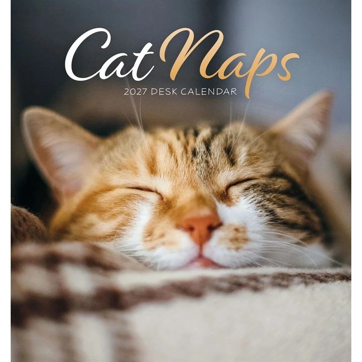 A 2027 desk calendar titled 'Cat Naps' featuring a close-up photo of a sleeping orange tabby cat on a blanket.
