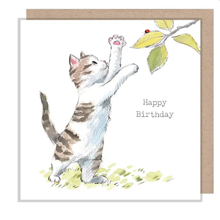 Cat and Ladybird Birthday Card