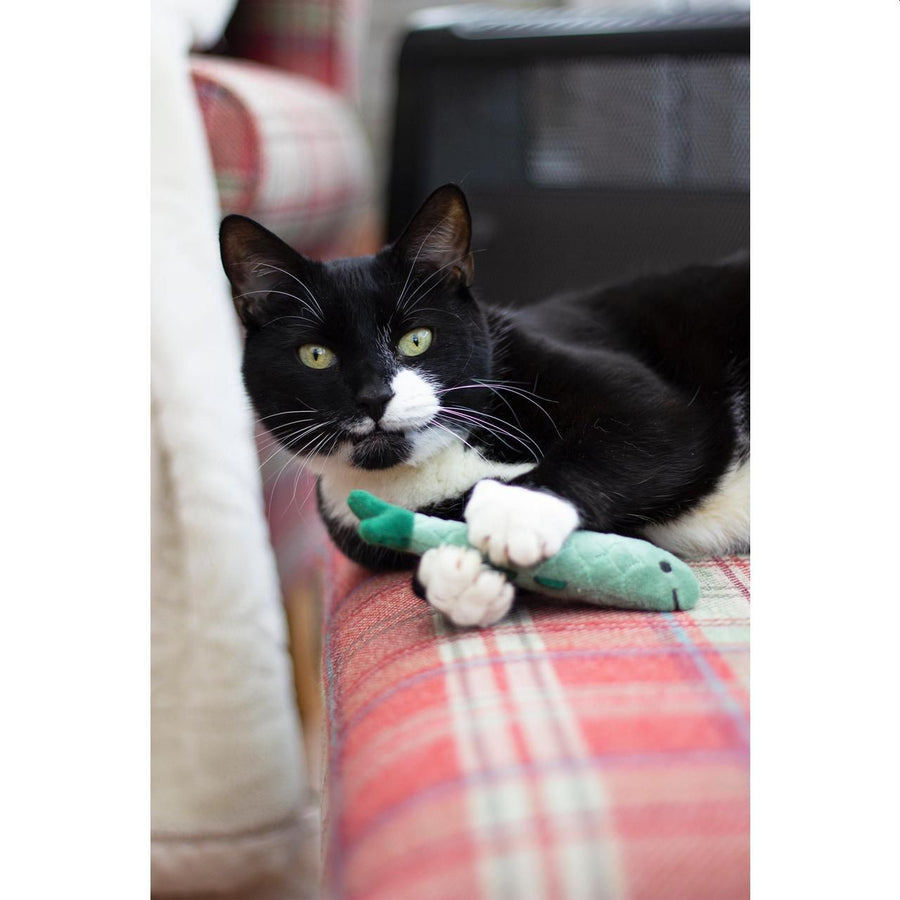 Battersea Daily Catch, pack of 3