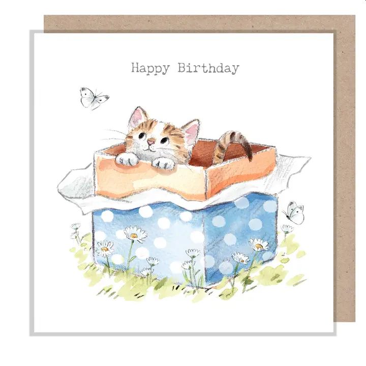 Cat in a Box Happy Birthday Card