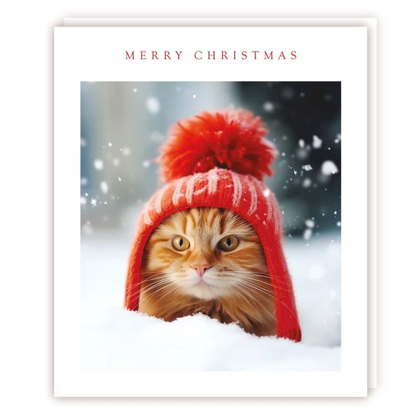 Bobble Hat Christmas Kitty