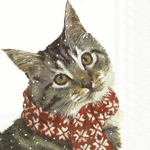 Cat in Scarf Napkins