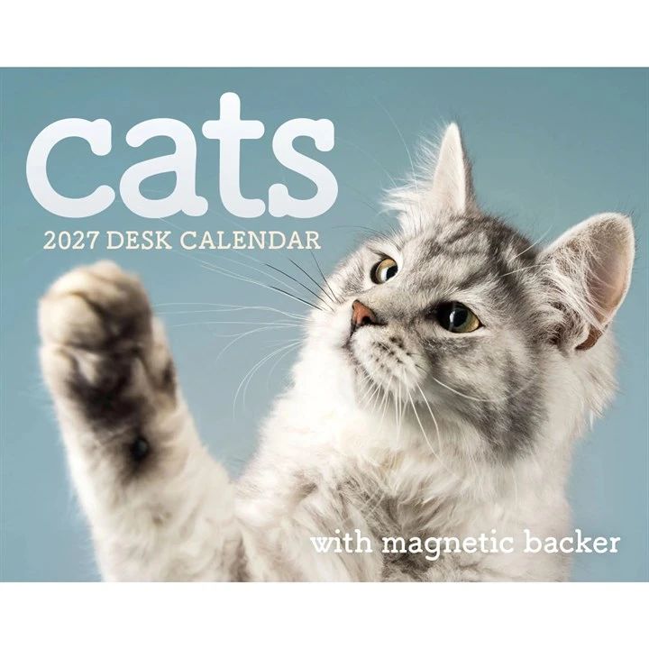 2027 desk calendar featuring a cat with a paw raised against a light blue background.