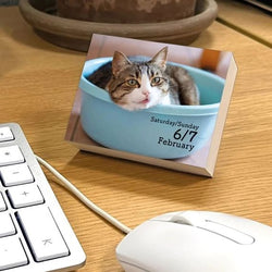 Tear off page a day desk calendar with a cat on it on a desk next to a keyboard and mouse