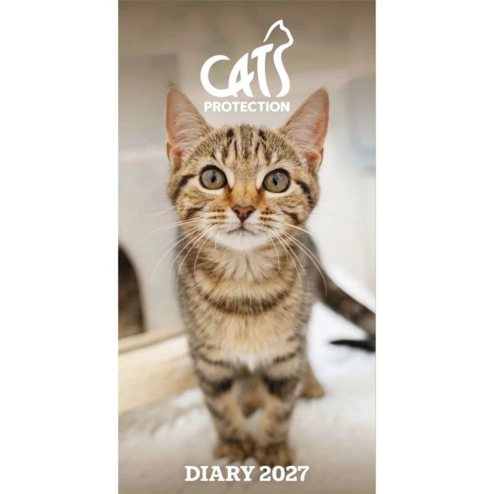 Cat protection 2027 diary front cover with a tabby kitten on a white background