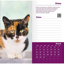 Inside spread from Cats Protection 2027 diary featuring a tortoiseshell cat, space for notes and a March calendar grid