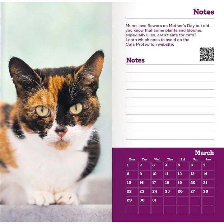 Inside spread from Cats Protection 2027 diary featuring a tortoiseshell cat, space for notes and a March calendar grid