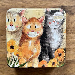 Cats Notecards Tin