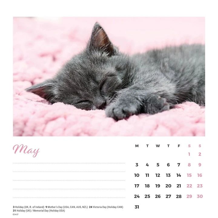 Calendar page for May with a sleeping kitten on a pink blanket
