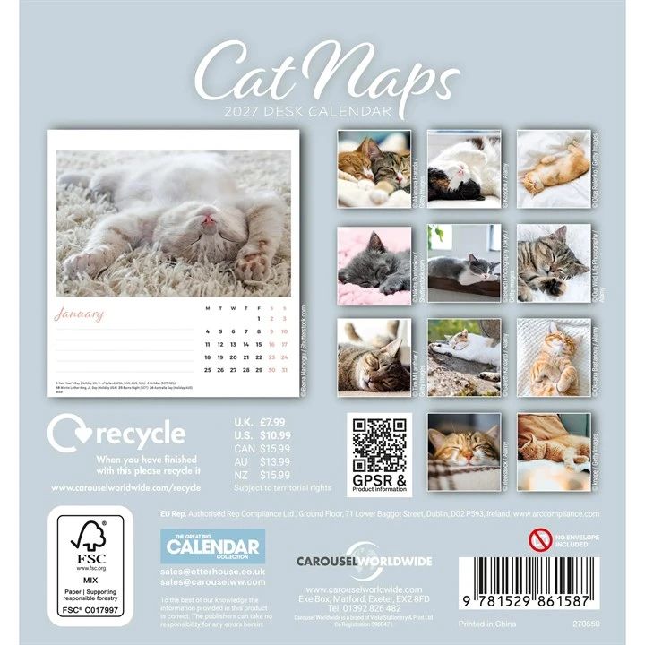 Cat Naps 2027 desk calendar with cat images on a light blue background