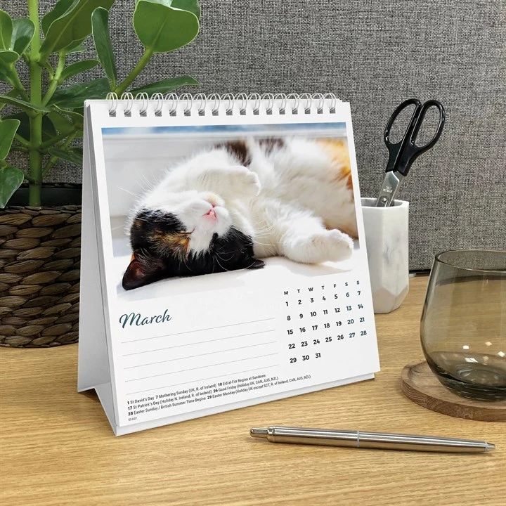 Cat Naps 2027 Easel Desk Calendar
