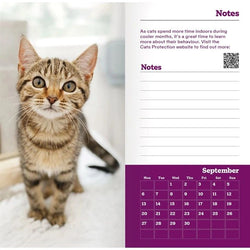 A printed diary page featuring a close-up photo of a tabby cat on the left, with a notes section and a September calendar grid on a purple background