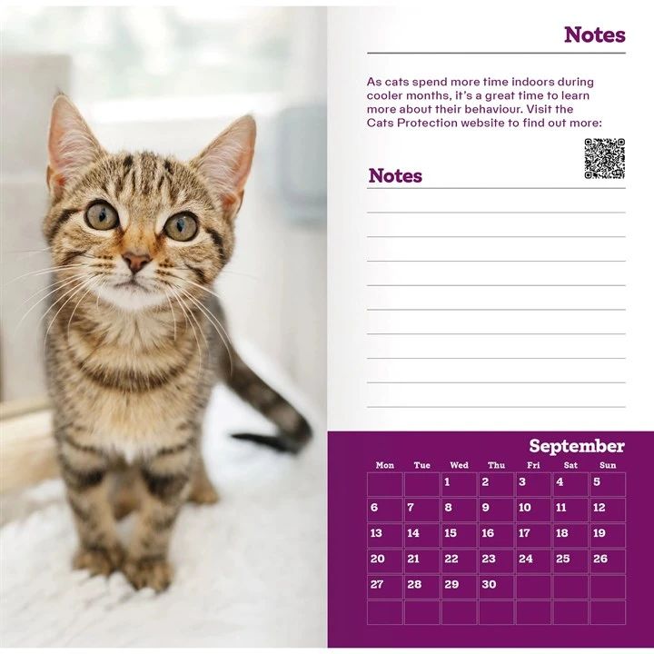 A printed diary page featuring a close-up photo of a tabby cat on the left, with a notes section and a September calendar grid on a purple background