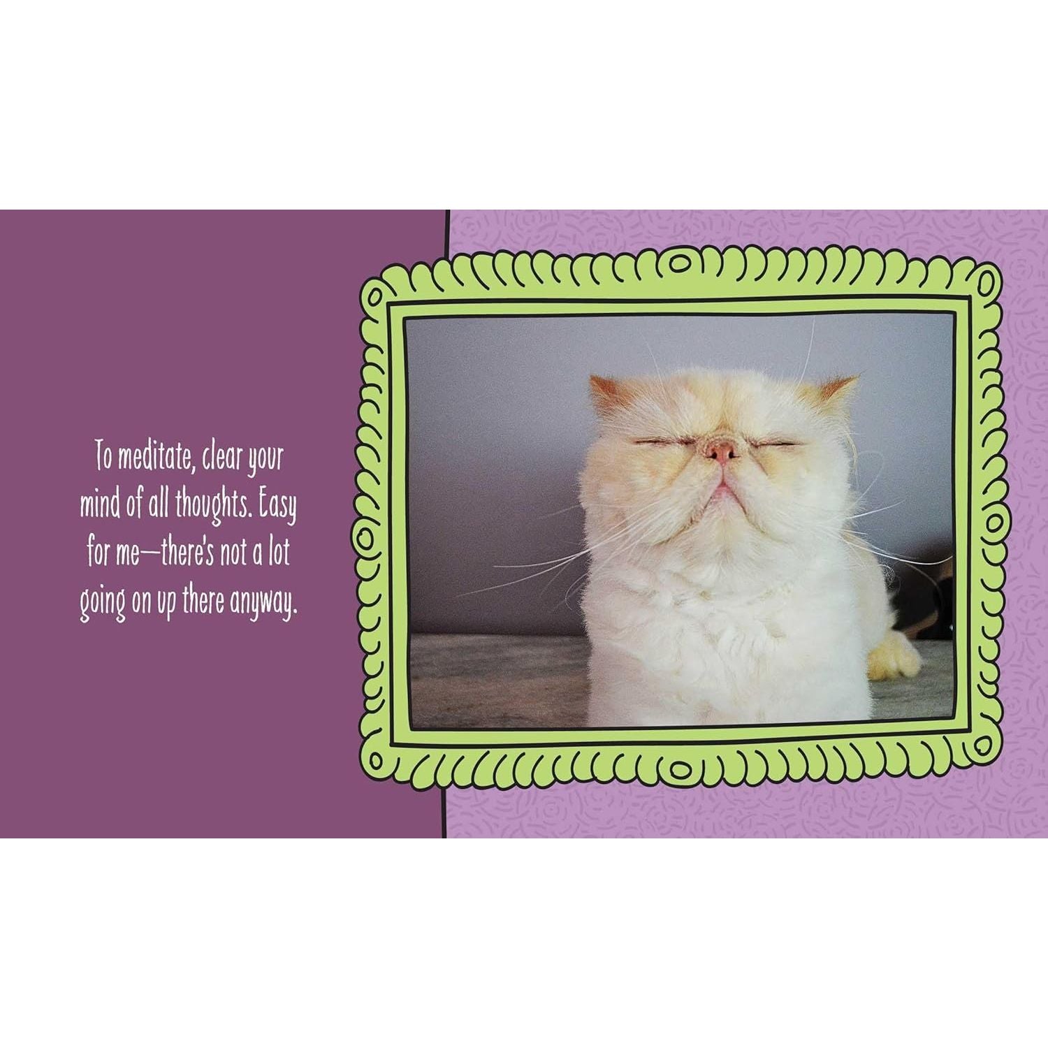 Cats are Cheaper than Therapy