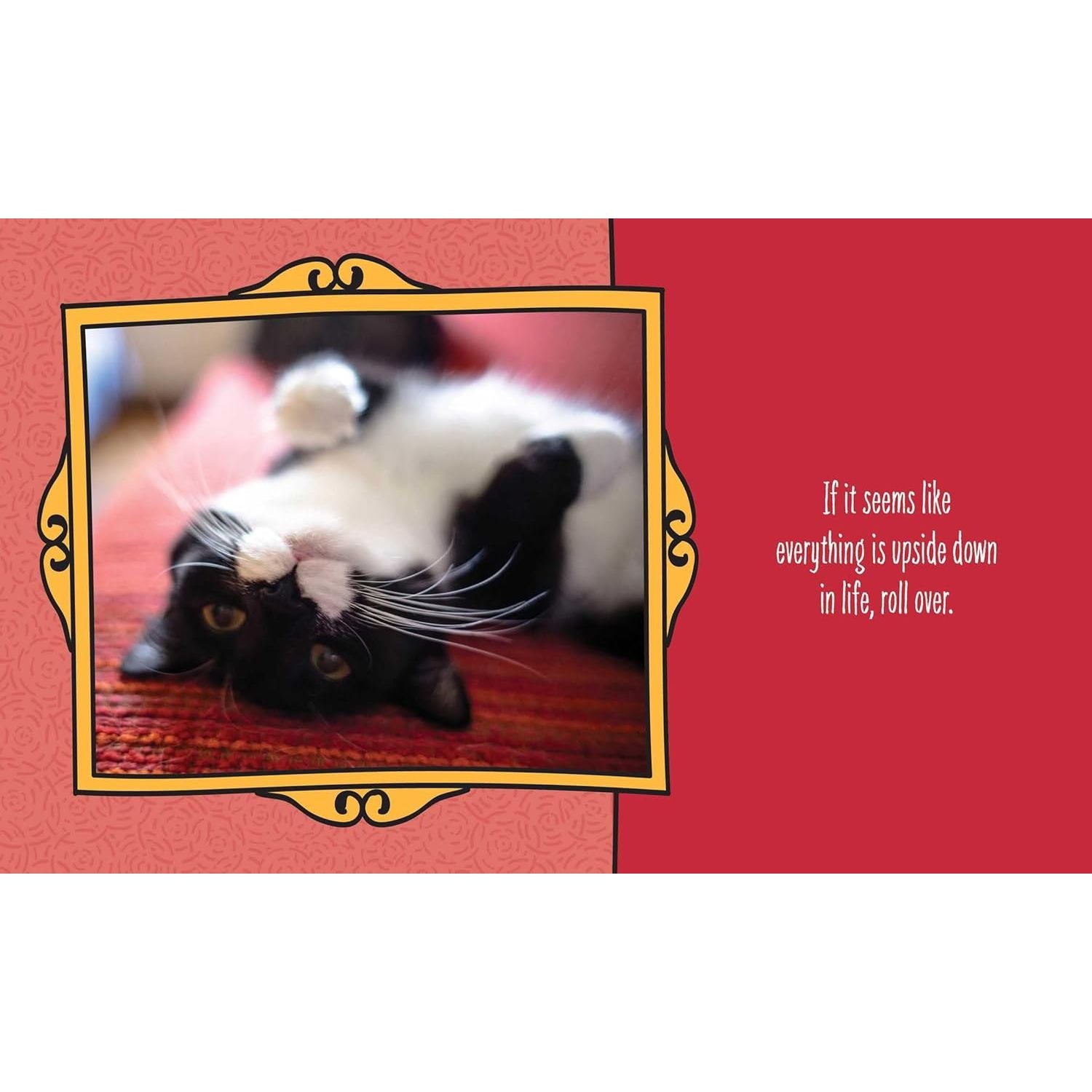 Cats are Cheaper than Therapy