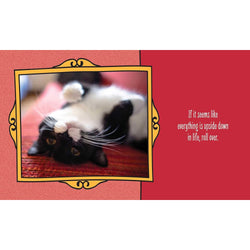 Cats are Cheaper than Therapy