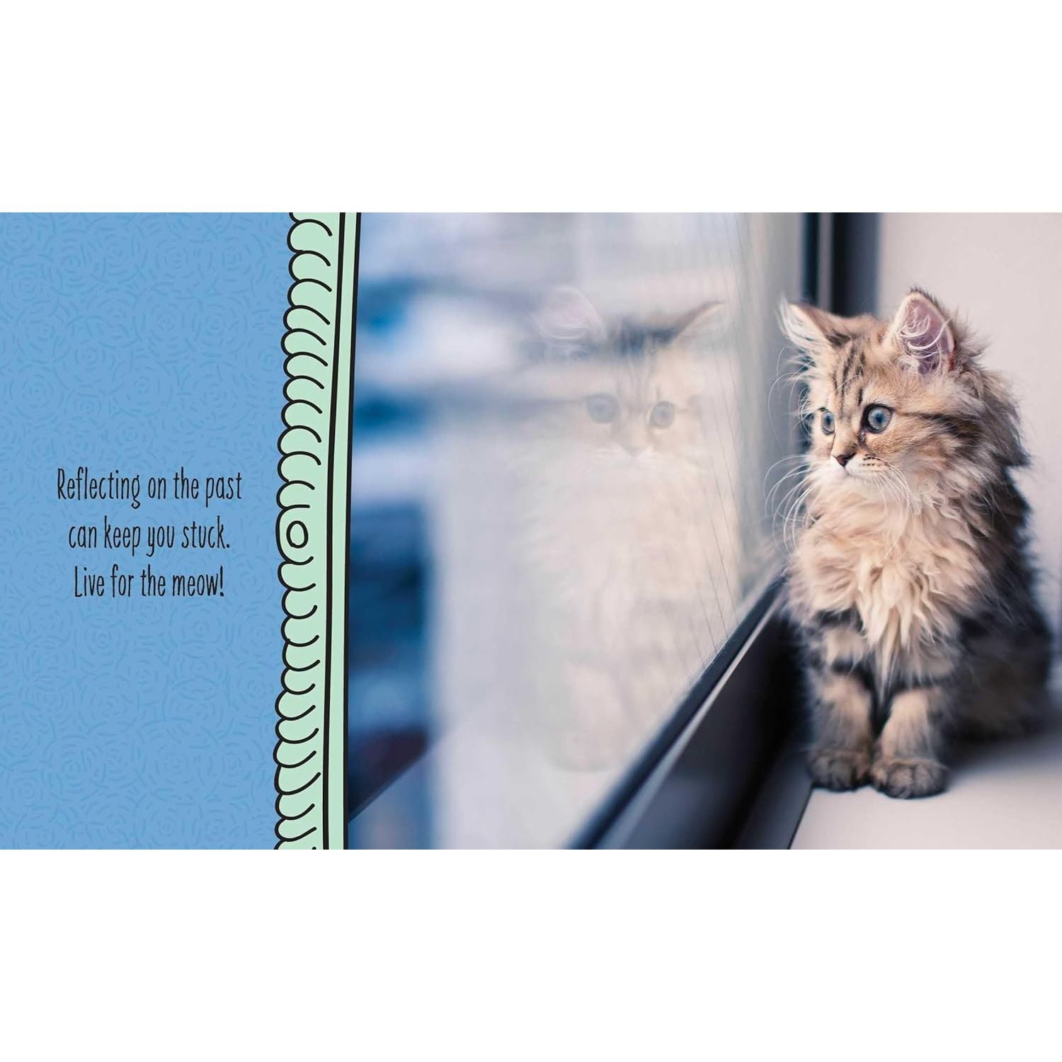 Cats are Cheaper than Therapy