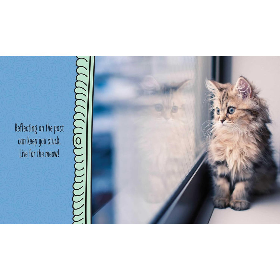 Cats are Cheaper than Therapy