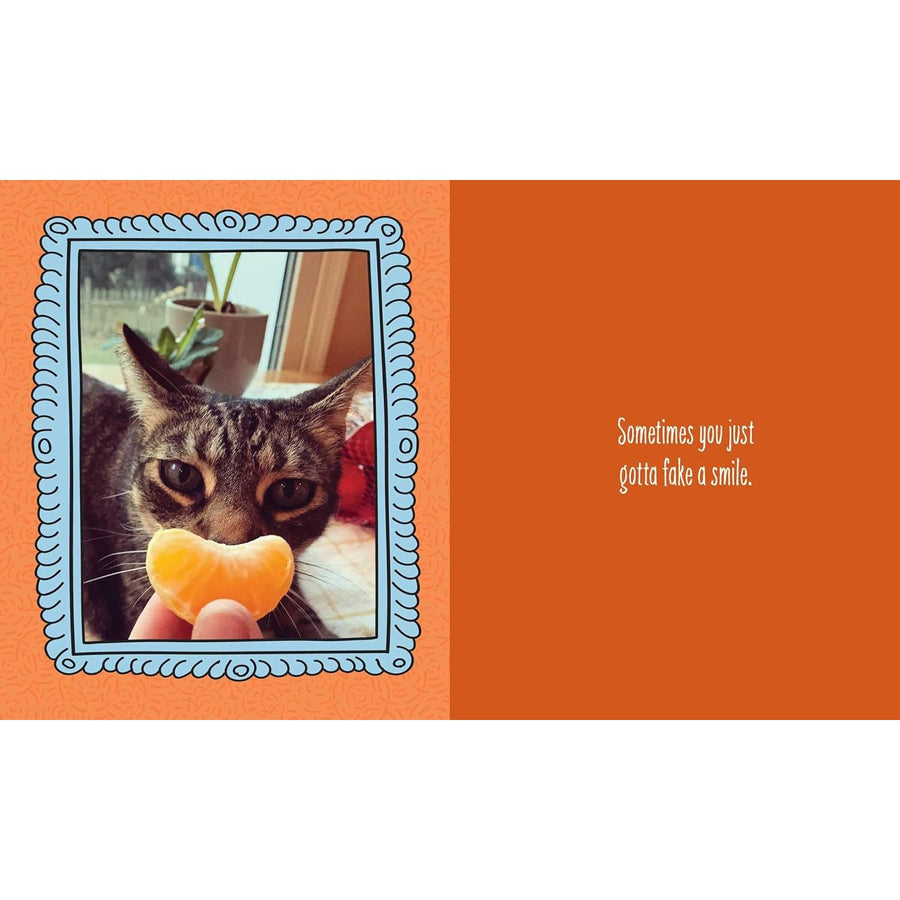 Cats are Cheaper than Therapy