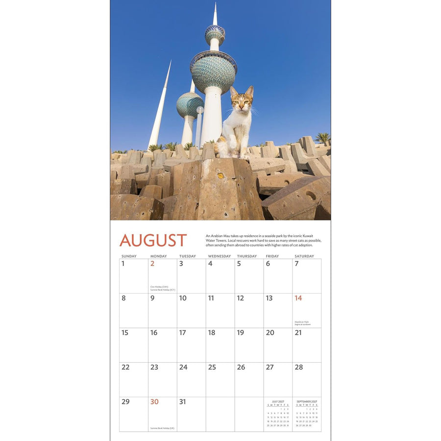Calendar page for August with a cat on a wall and Kuwait Towers in the background