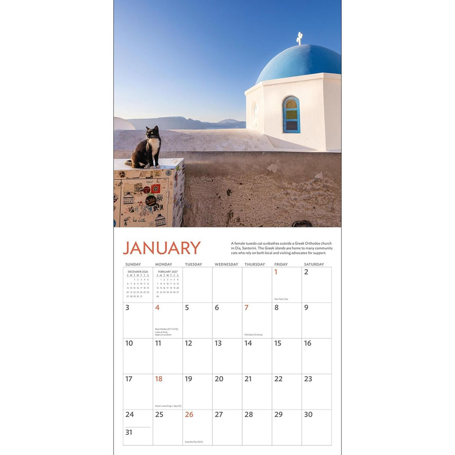 Calendar page for January with a cat on a wall in Santorini with a blue-domed building in the background