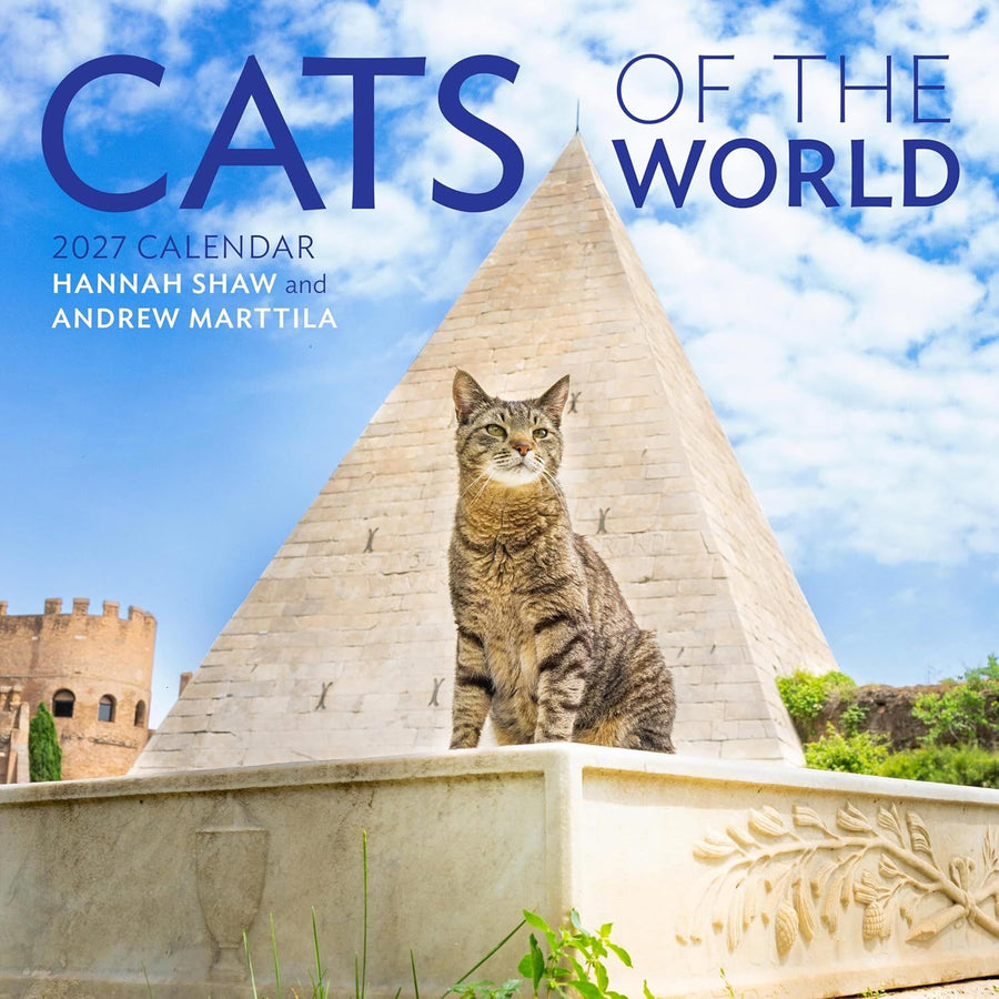 Tabby cat sitting in front of a pyramid with 'Cats of the World' 2027 calendar text above
