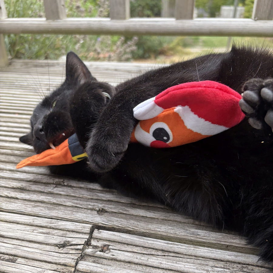 A black cat lying on a weathered wooden deck, playfully biting and chewing a plush toy shaped like a carrot wearing a red Santa hat.
